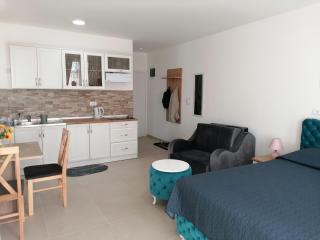 Kristi Lux Jezero - NEW Studio apartment with Balcony and FREE Parking - Veliko Gradiste - 5
