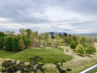 Amazing Mountain Views, 5 min to Dollywood&parkway - 4