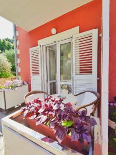 Villa Kipre 2 - Cavtat - 7