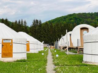 Glamping Iurte Mongole Spiritul Zimbrului - Vama Buzăului - 8