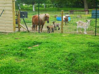 L'immortel gîte vintage avec ou sans spa - 1