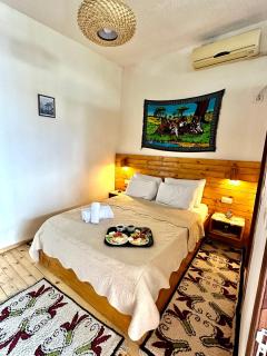 Guest House Salaria - Gjirokastra - 9