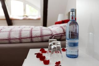 Pension Altes Burghotel - Neustadt-Glewe - 5