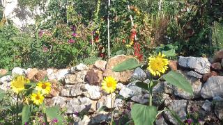 Casa La Rondine - Portoferraio - 1