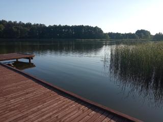 Zalesie z pomostem I - 8