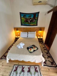 Guest House Salaria - 8
