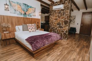 Oasis 444 - San Marcos - 6