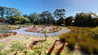 Plume Villas - Matakana - 5