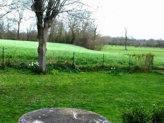 Tranquil Cottage in Normandy - 6