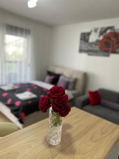 Lux apartment Nina - 2