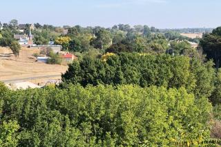 Bonnie Views Cottage - Clunes - 1