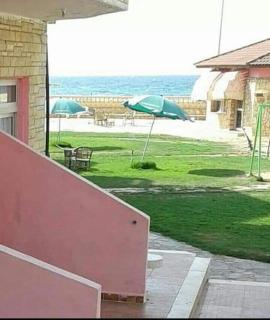 قريه جرين لاند العريش - 3