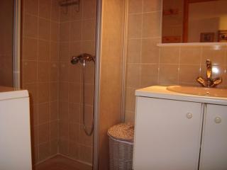 Appartement 2 chambres tout équipé avec terrasse et parking couvert – Crest-Voland - FR-1-733-132 - Crest-Voland - 4
