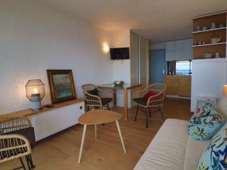 Face à la mer, terrasse, clim, WIFI et garage - Classé 3★ - 34200 Sète - FR-1-472A-286 - Sète - 7