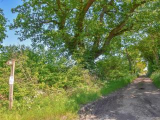 No, 2 Badger Sett-Uk44307 - Lenwade - 9