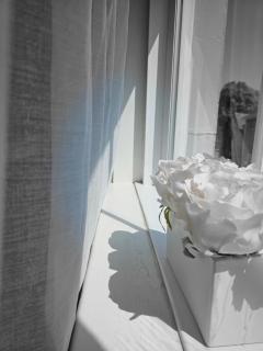 The swan at compton - Compton - 8