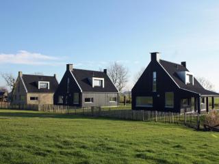 Classy Villa in Tzummarum with Terrace, Garden - Tzummarum - 0