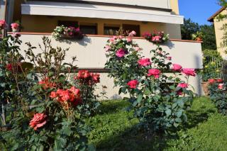 La Casa di LiLi - 2