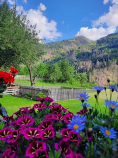 Gästehaus Taner - 5