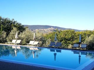 Castello di Fulignano Ildebrando superior apartment - San Gimignano - 7