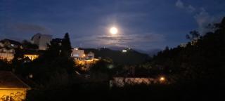 Lelia Residence Apartments - Braşov - 7