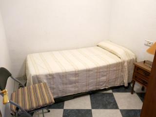 Oasis junto al mar - 2