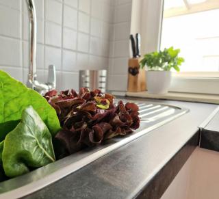 Promenada Apartment - Srima - 2