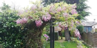 Chambre chez Jan-Nicolas et Sylvie - 4