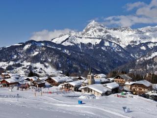 Studio cosy pour 4 aux pieds des pistes, animaux admis, parking - FR-1-733-46 - Crest-Voland - 1