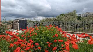 Casa Indipendente Roma MiTuCasa - 6