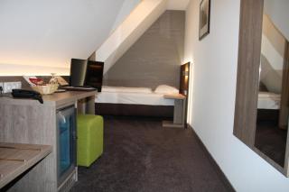 Landhotel Geiselwind - Geiselwind - 8
