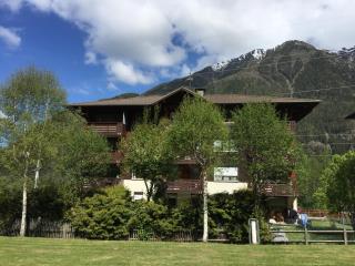 Appartement face au Mont Blanc & Glaciers - Chamonix - 9
