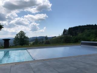 LE CHALET de la goutte - Saint-Appolinaire - 0
