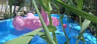 Luxury loving home - Tolo - 3