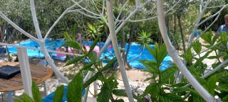 Luxury loving home - Tolo - 4