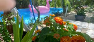 Luxury loving home - Tolo - 7