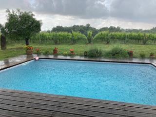 Gîte Les Vignes - Cravencères - 7