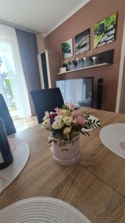 Apartment Pegaz & Aqua Marina - Świnoujście - 9