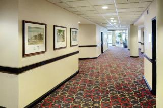 Four Points by Sheraton Halifax - Halifax - 5