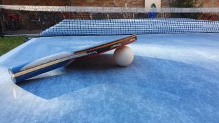 BeatrixHome Oasi verde in città - Ferrara - 1