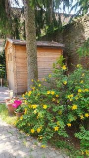 BeatrixHome Oasi verde in città - Ferrara - 2