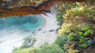 Michelangelo suites and apartments - Valanidorachi - 9