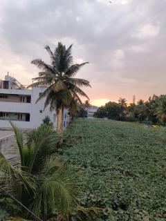 Citrus Home - Bangalore - 7