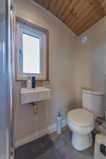 Berllan Y Bugail Shepherds Hut - Llanwrda - 5