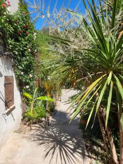 La Palmeraie - Istres - 1