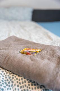 #2 Großes Zimmer mit Pool und Garten - 6