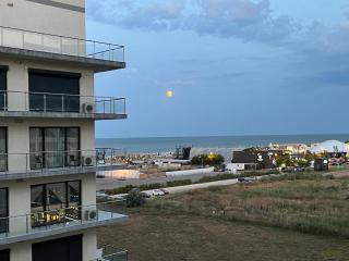 Luxury Studio 42 De Silva - Mamaia - 0
