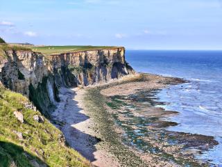 Gold Beach Studio - Tracy-sur-Mer - 6