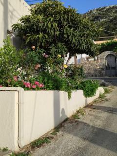 Kassandra Garden Residence - 3