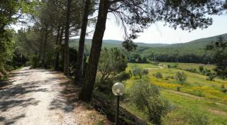 Agriturismo Pian di Farinello - Casa Pallini - 8